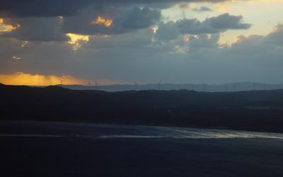 WP 6.1 Theme block category